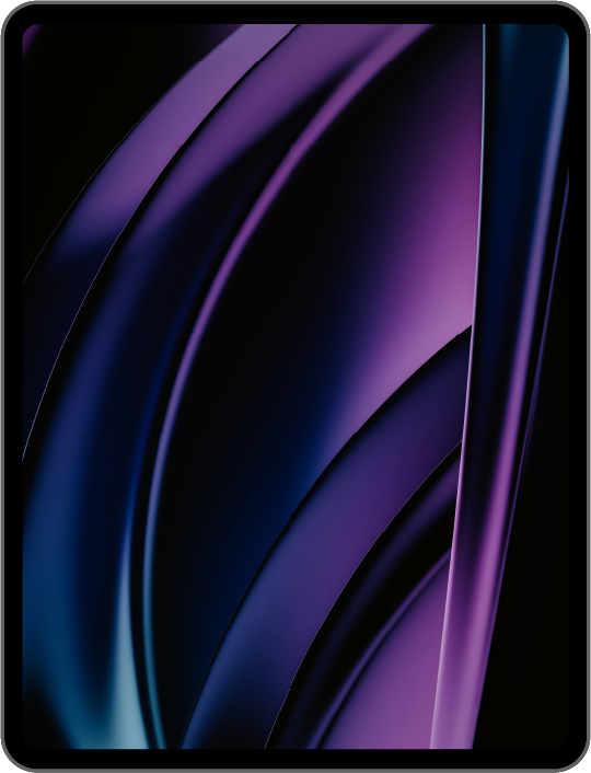 お得!iPadPro 11インチ 5世代 M4チップ256GB Wifi版 Apple iPad Pro 11-